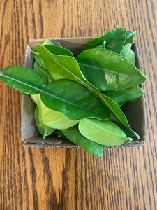 Kaffir (Thai) Lime Leaves