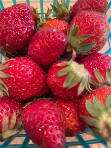 French Strawberries (per basket)