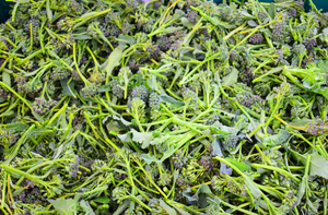 Heirloom Italian Broccoli (per lb)