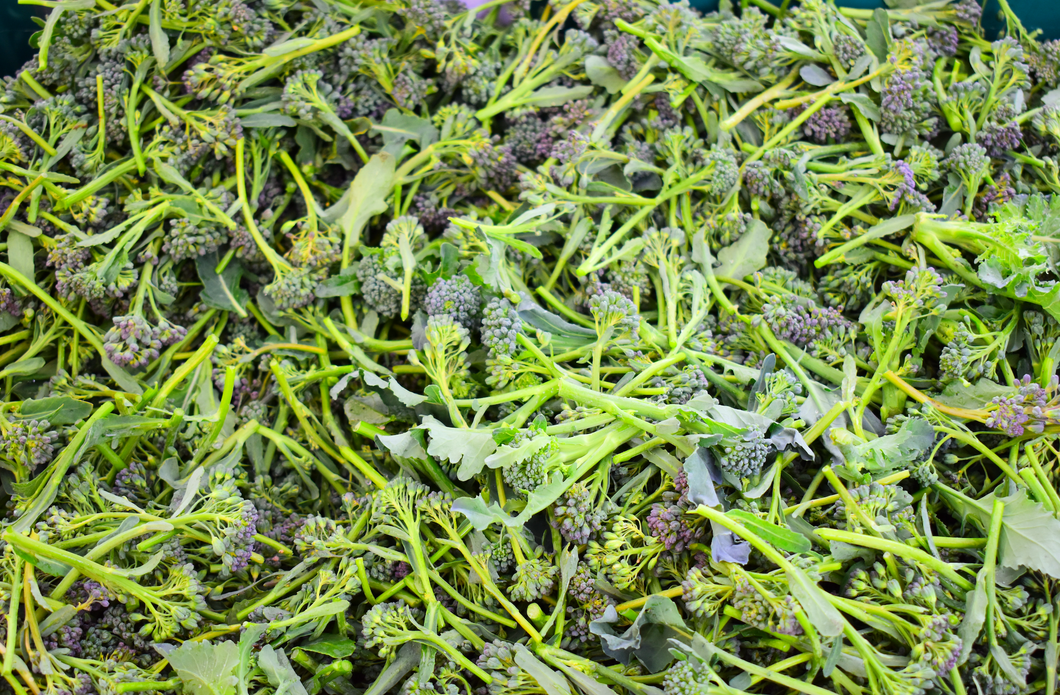 Heirloom Italian Broccoli (per lb)