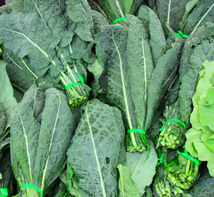 Tuscan Kale (per bunch)