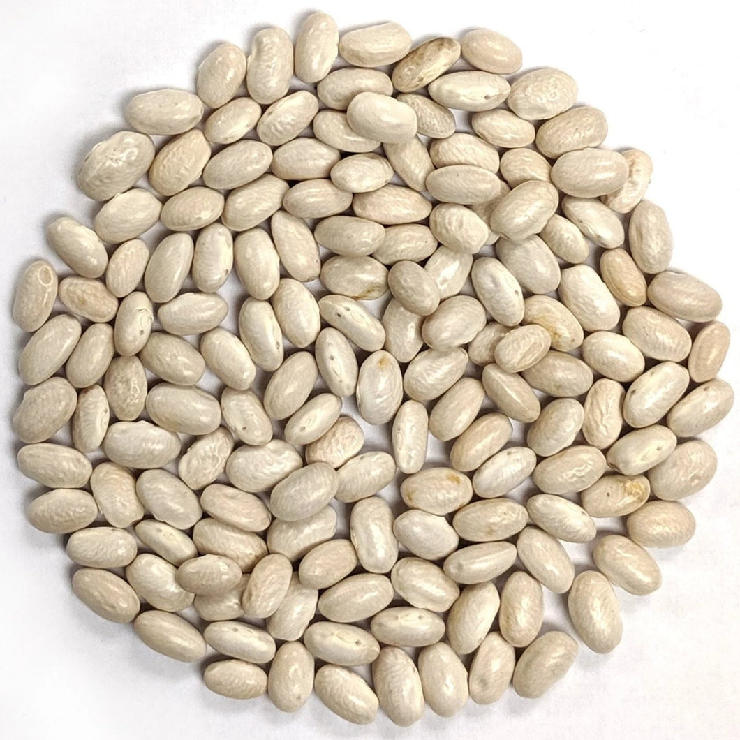 Dried Italian Beans (16 oz)
