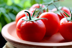 Early Girl Tomatoes (per lb)
