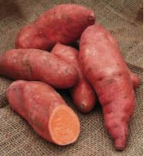 Georgia Jet Sweet Potatoes (per 2 lb bag)