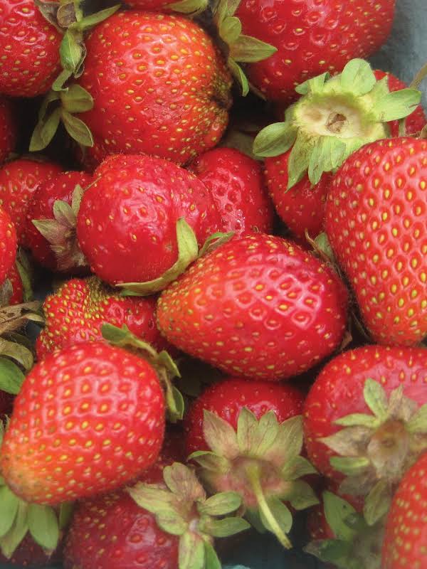 Frozen French Strawberries (per 3# bag)