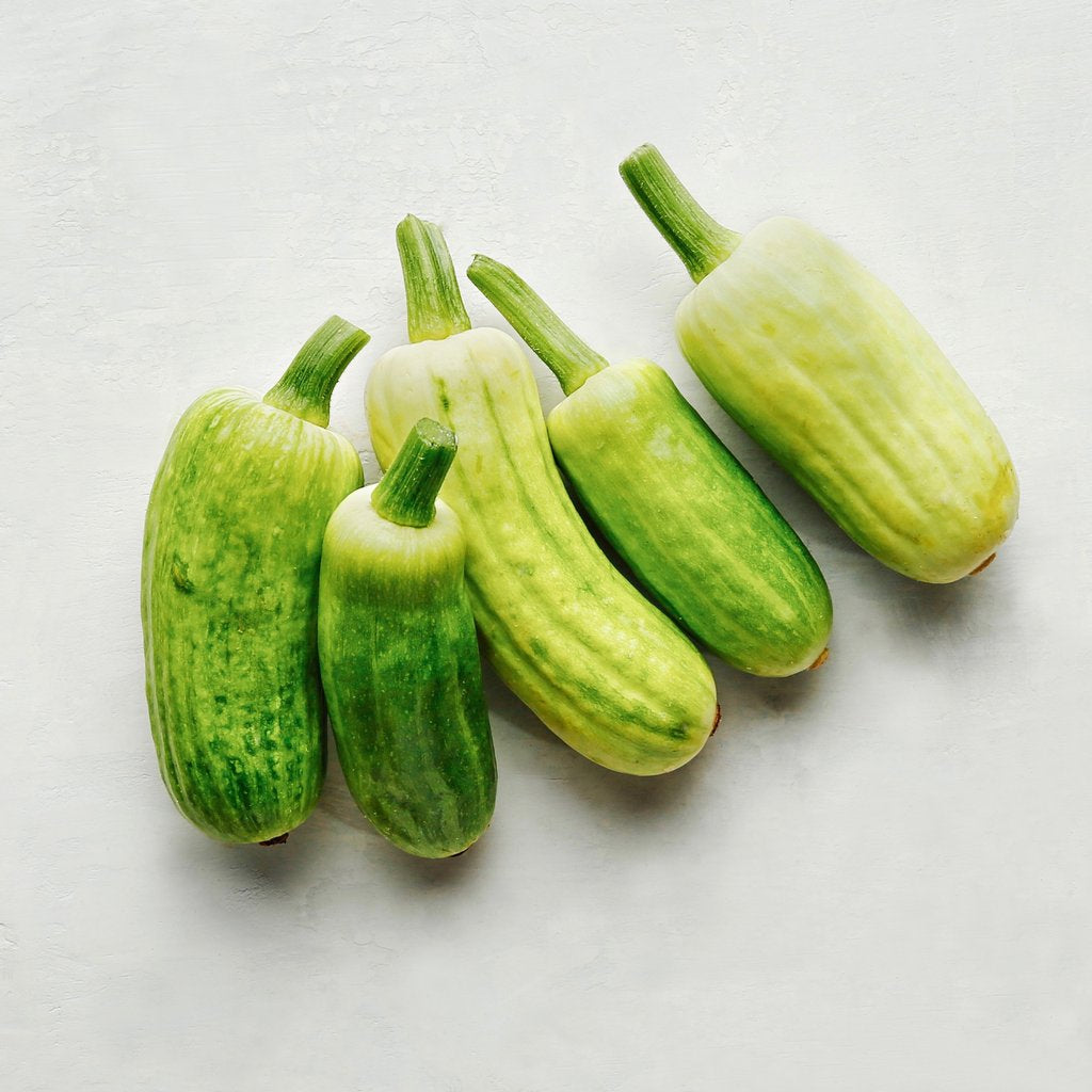 Tetra Squash (per 2 lb bag)