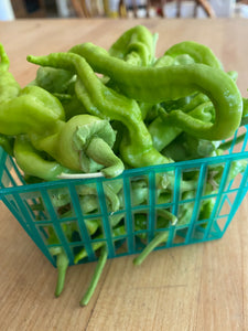 Guindillas Frying Peppers (per basket)