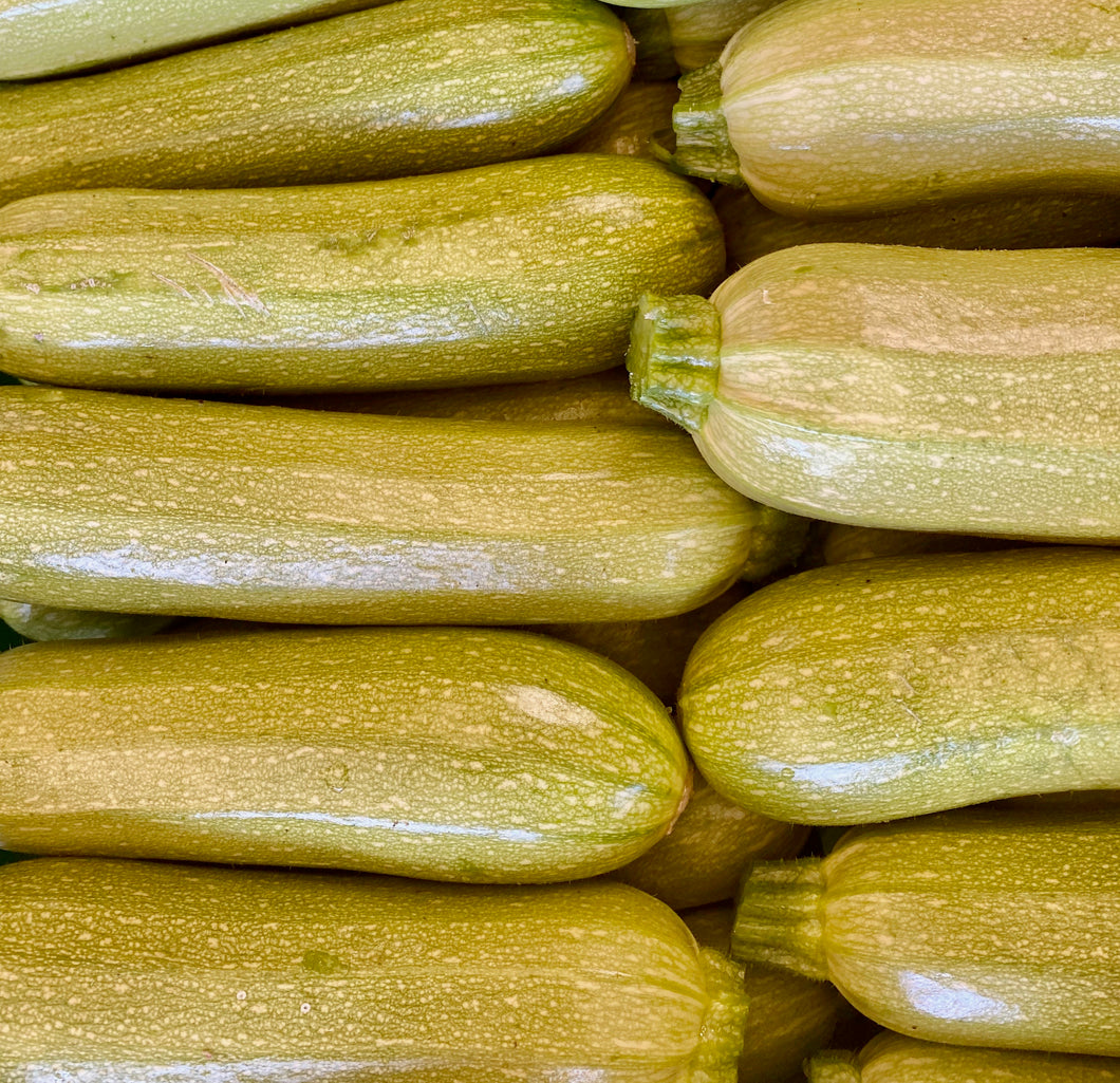 White Zucchini (per lb)