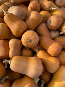 Honey Nut Squash (per 2lb bag)