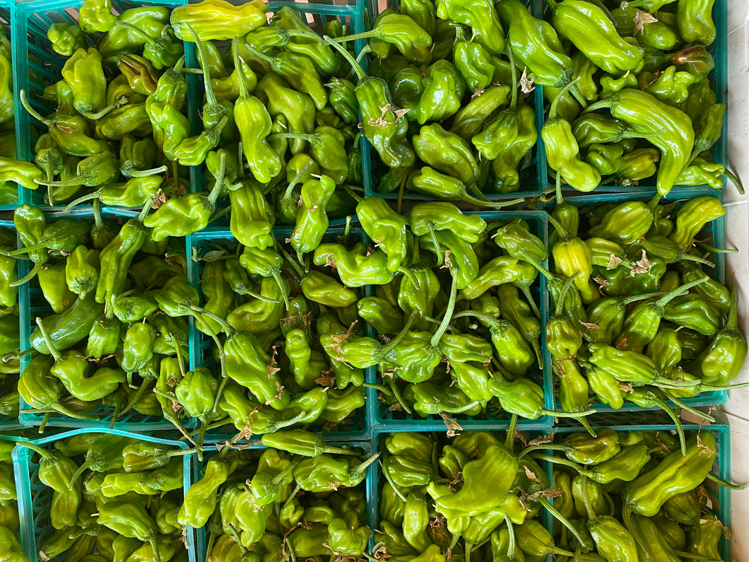 Shishito Peppers (per basket)