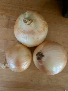 Sweet Yellow Onions (per lb)