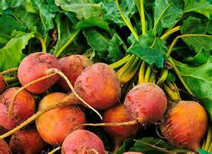 Golden Beets (per bunch)