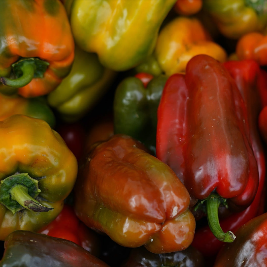 Bell Peppers (per lb)