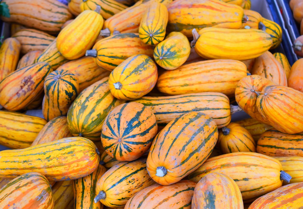 Honey Boat Delicata (per 2 lbs)