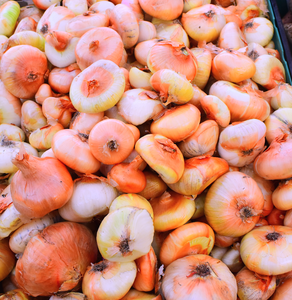 Cipollini Onions (per lb)