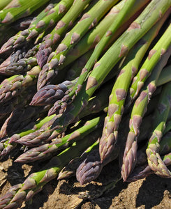 Heirloom Asparagus (per bunch)
