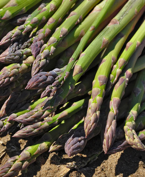 Heirloom Asparagus (per bunch)